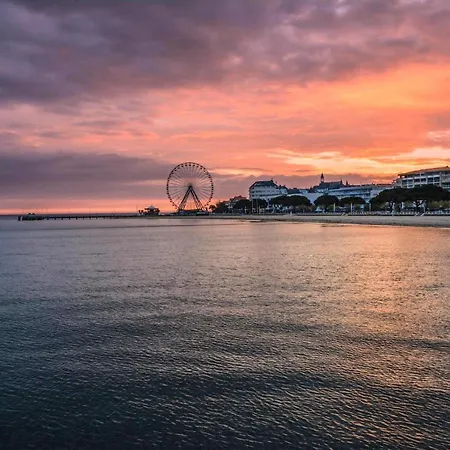 Superbe En 1ere Ligne En Plein Coeur D'arcachon 公寓 *