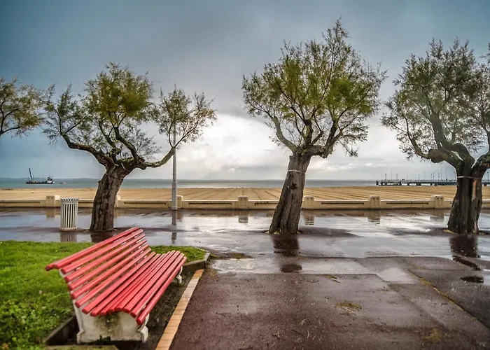 Superbe En 1ere Ligne En Plein Coeur D'arcachon 公寓 *